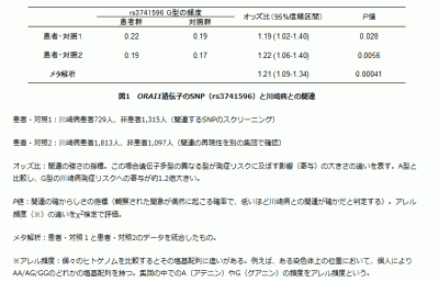 日本人に多い川崎病 Orai1遺伝子の遺伝子多型が発症に関与 臨床検査技師 Mt 求人 募集転職情報 検査技師人材バンク